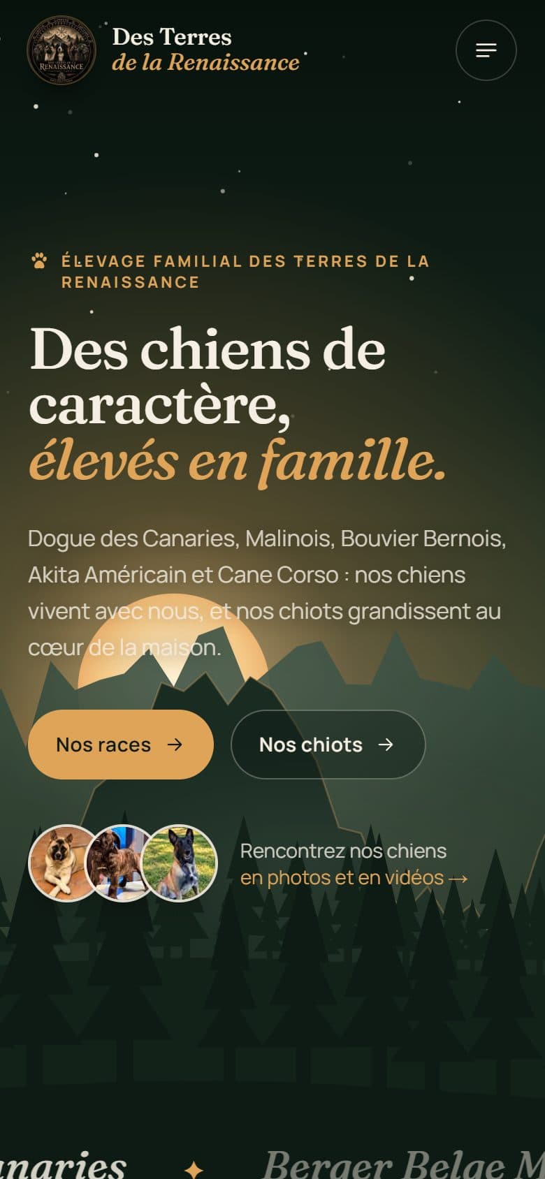 Capture du site Des Terres de la Renaissance sur mobile