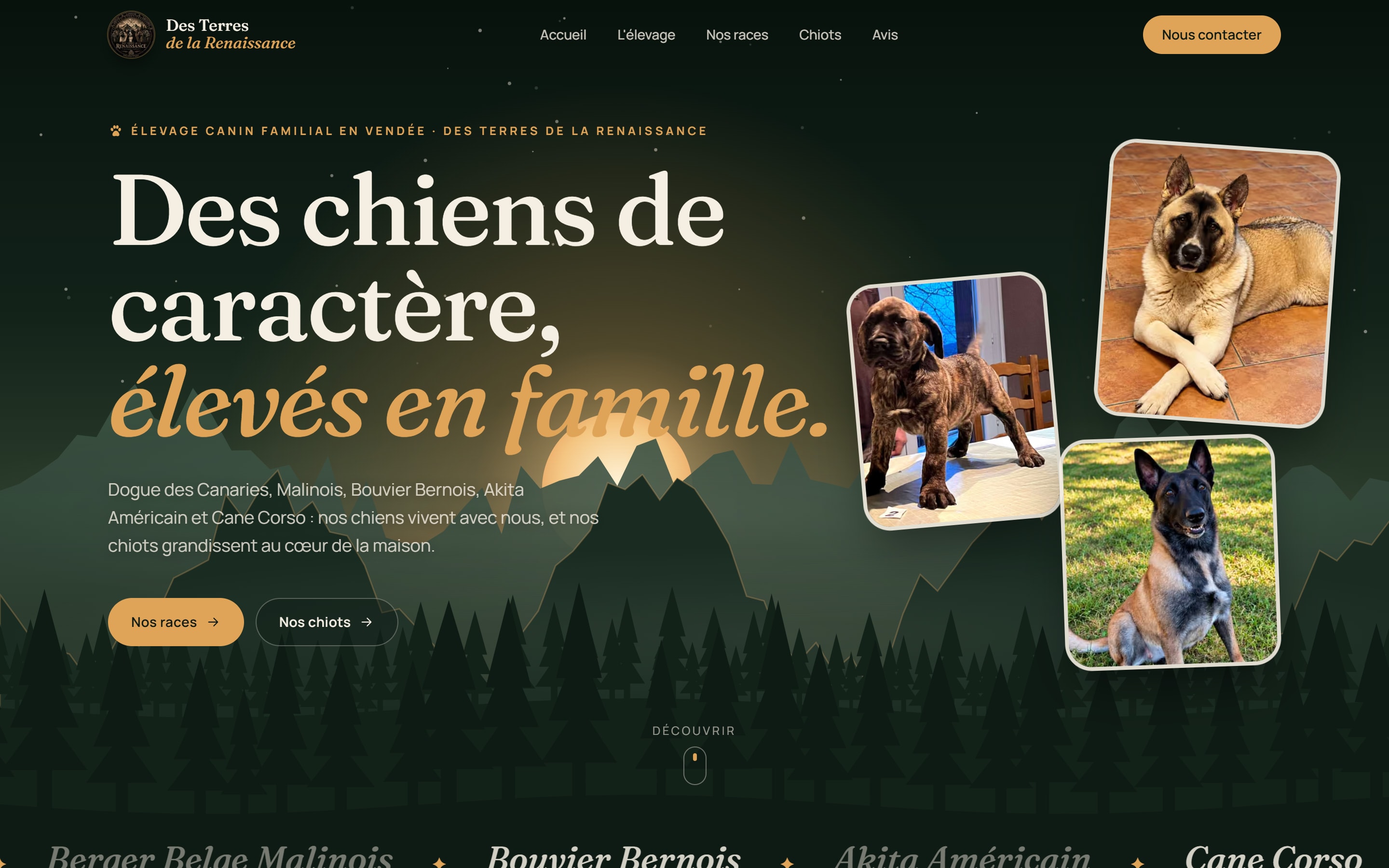 Capture du site Des Terres de la Renaissance